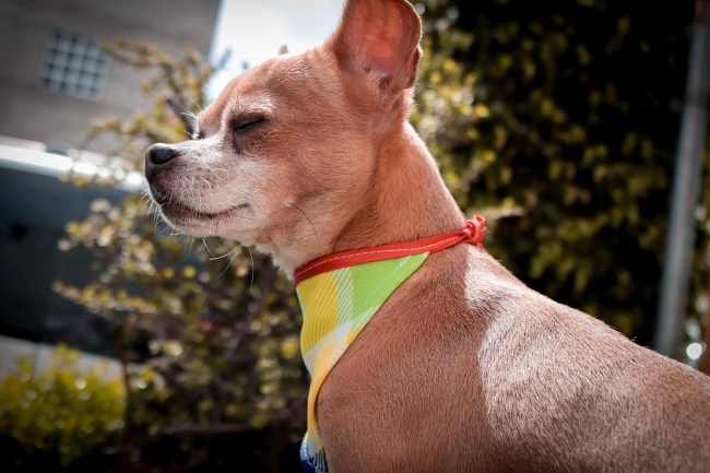 foto:Didier Alexander Martínez  - lo hecho en México