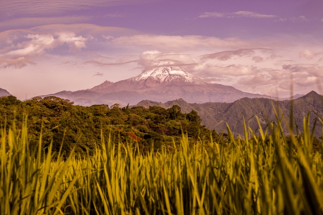 foto:Carlos Ignacio Rojas Cajica  - lo hecho en México