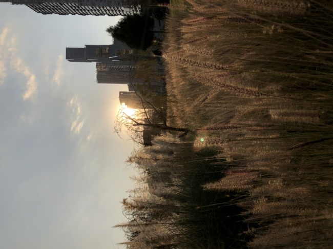 foto:Julio Cesar Ramírez Vázquez  - lo hecho en México