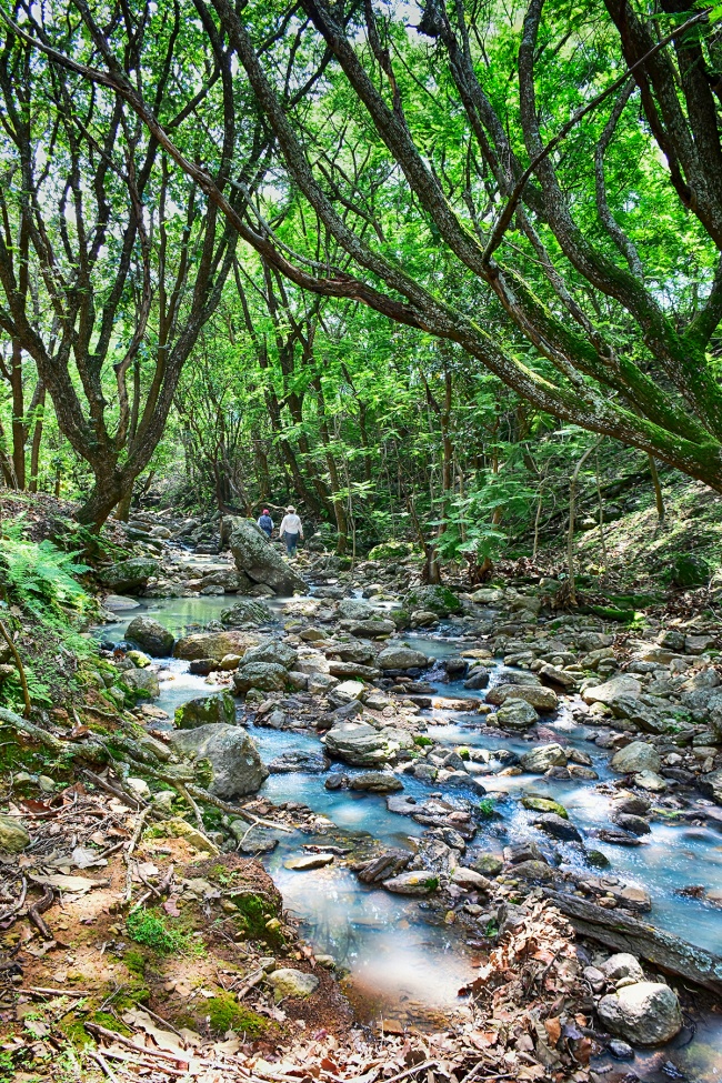 foto:Armando Parvool nuño  - lo hecho en México