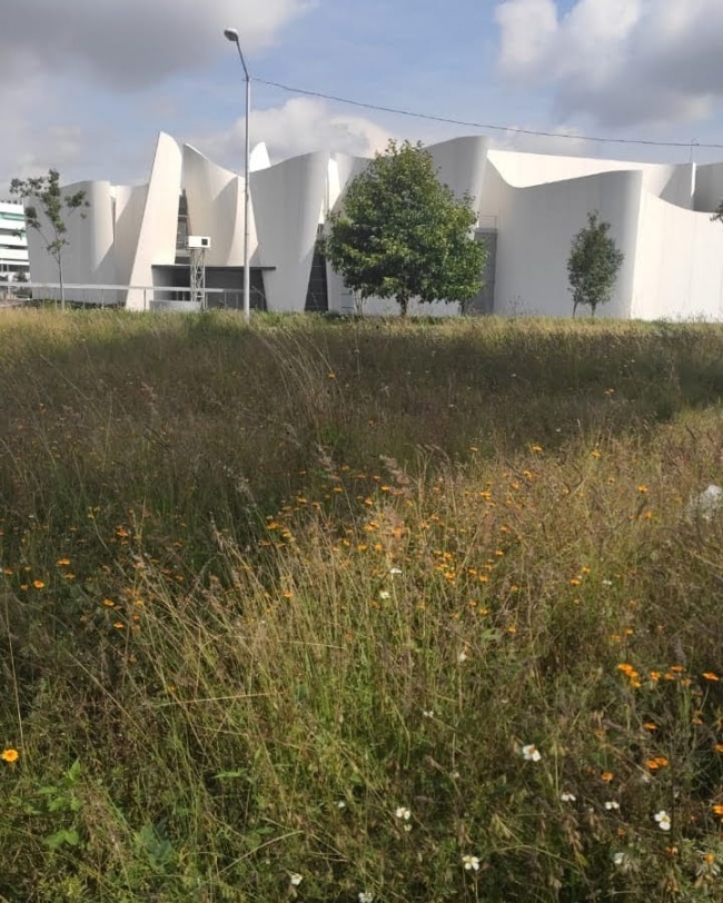 foto:Daniela San Martin Rodríguez  - lo hecho en México