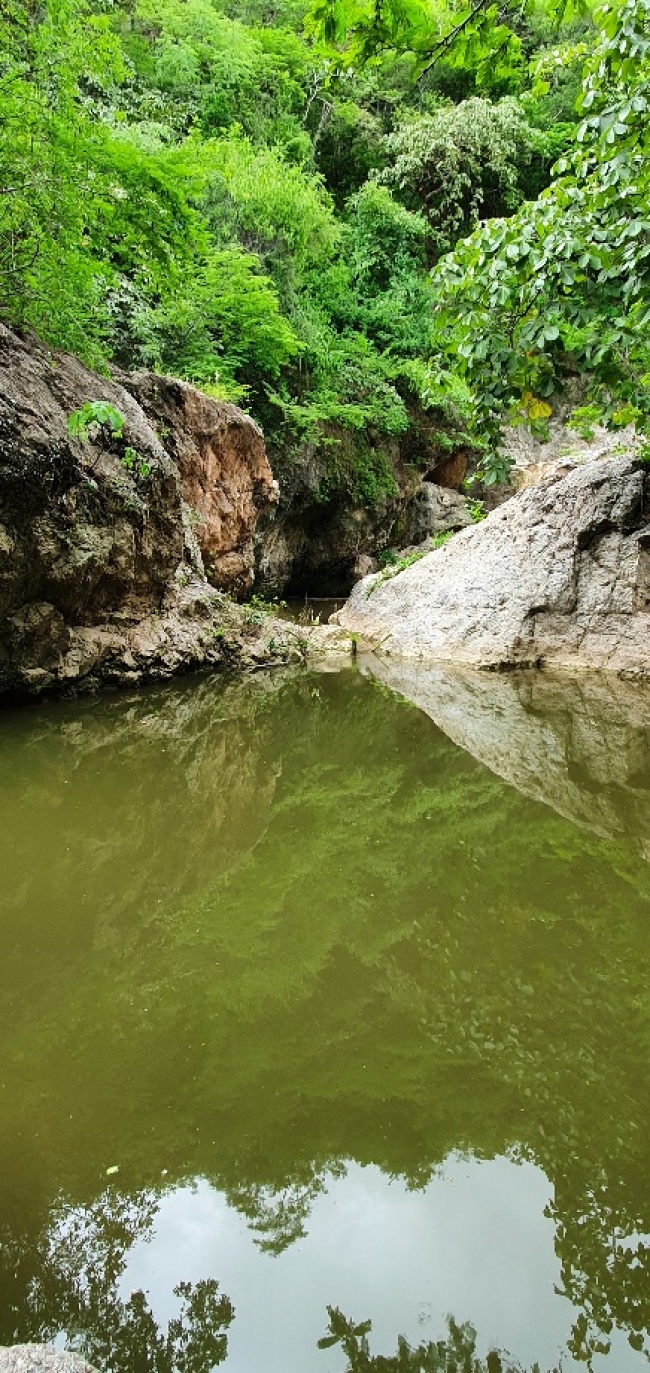 foto:Jorge Eduardo Rodriguez Solano  - lo hecho en México