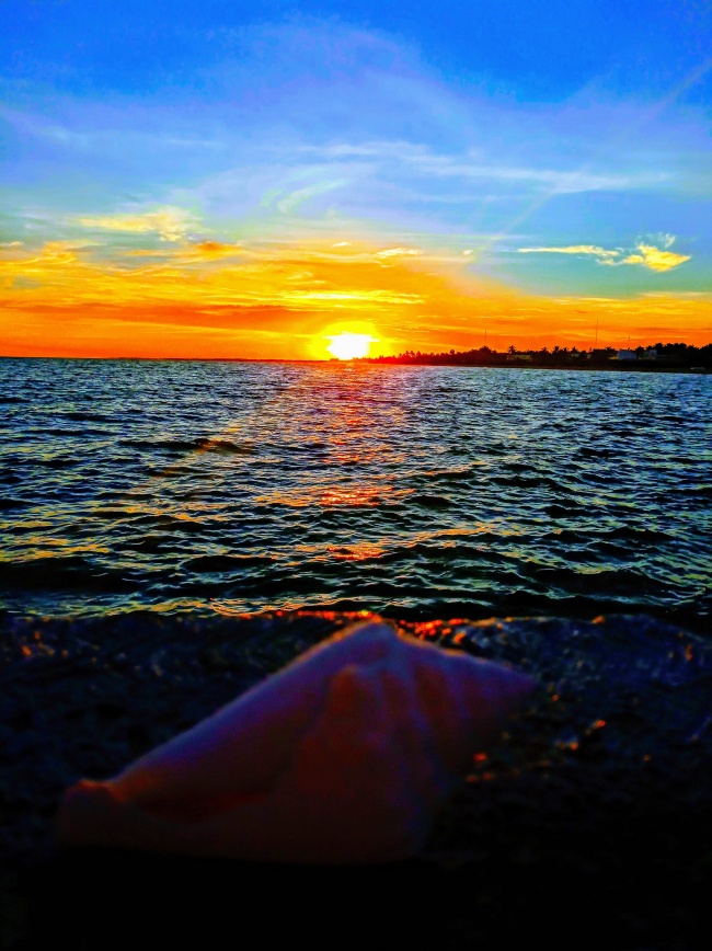 foto:Patricia Itzel Nájera Rodríguez  - lo hecho en México