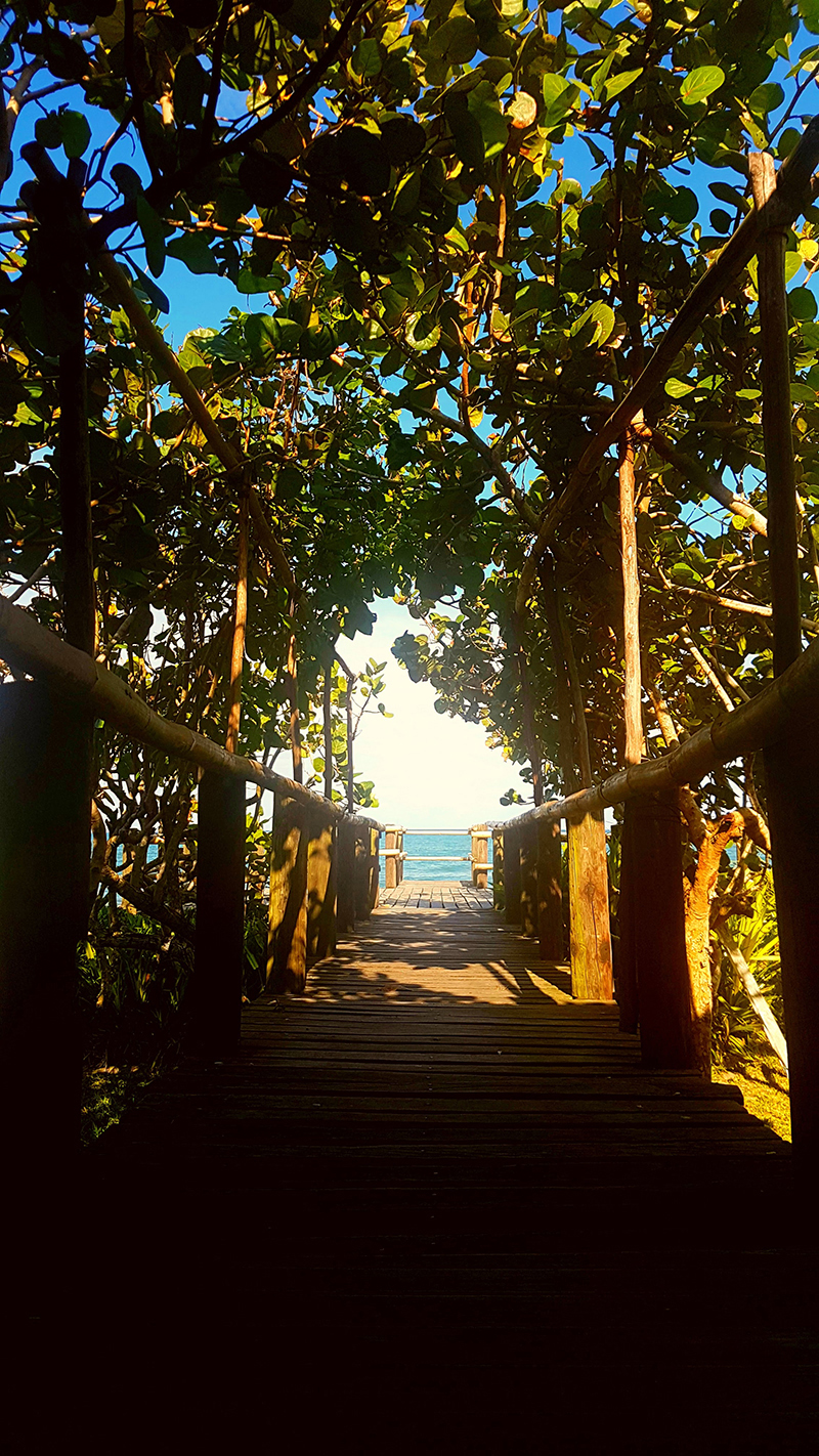 foto:Ana Paola Trujillo Torres  - lo hecho en México