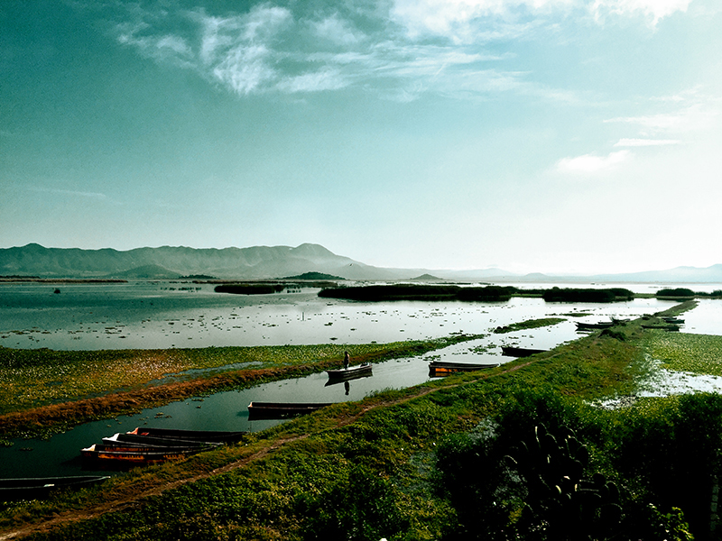 foto:Samantha Castrejón Martínez  - lo hecho en México