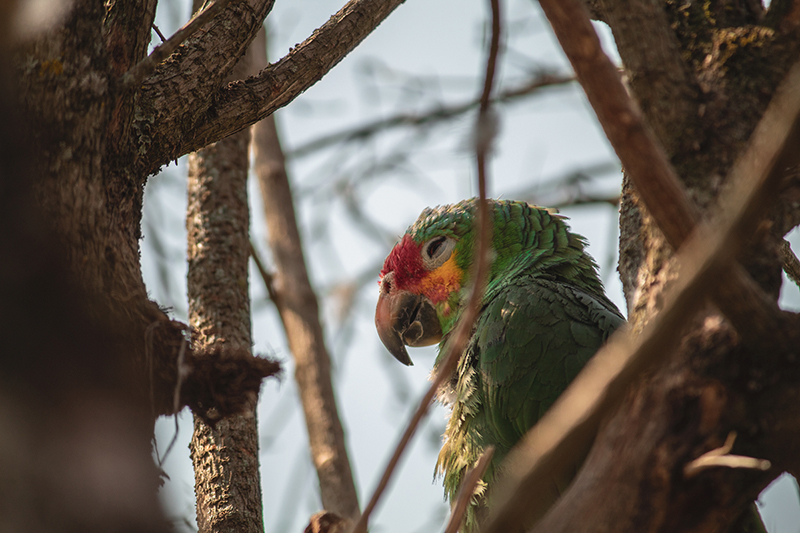 foto:Miguel Angel Bautista Vega  - lo hecho en México