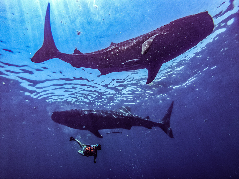 foto:Raúl torres valadez - lo hecho en México