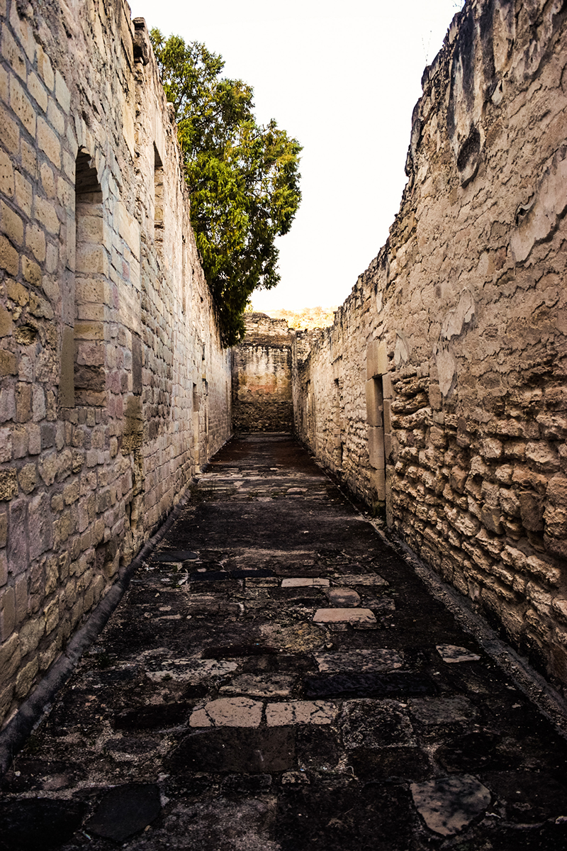 foto:Virginia Guzmán Salazar  - lo hecho en México