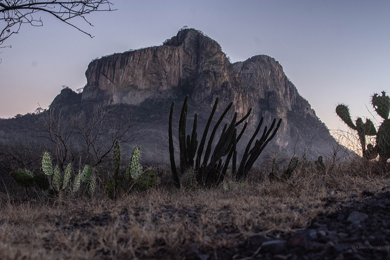 foto:Karenn Arlette Guerrero de la Torre  - lo hecho en México