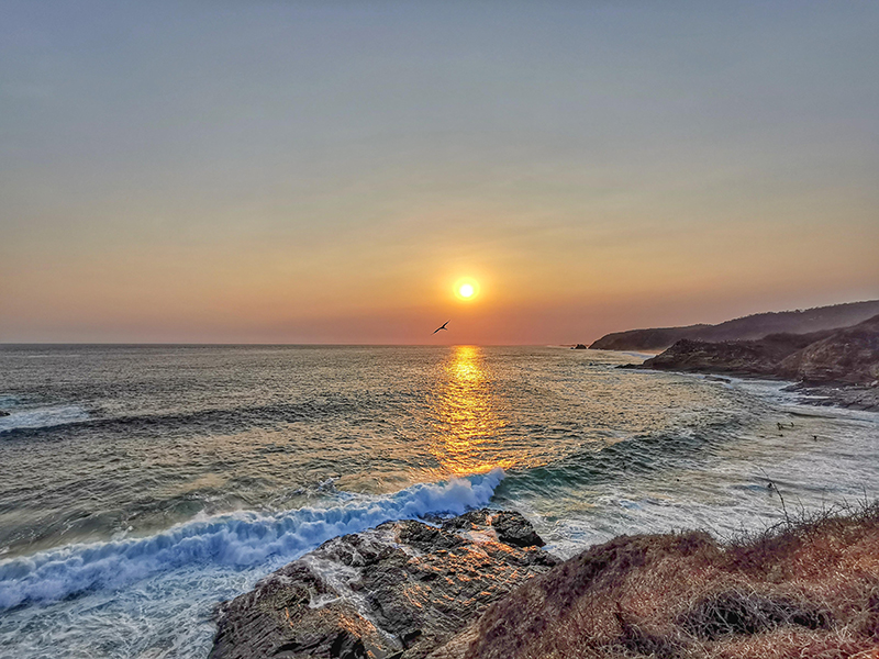 foto:Oscar Gerardo Méndez Sánchez  - lo hecho en México