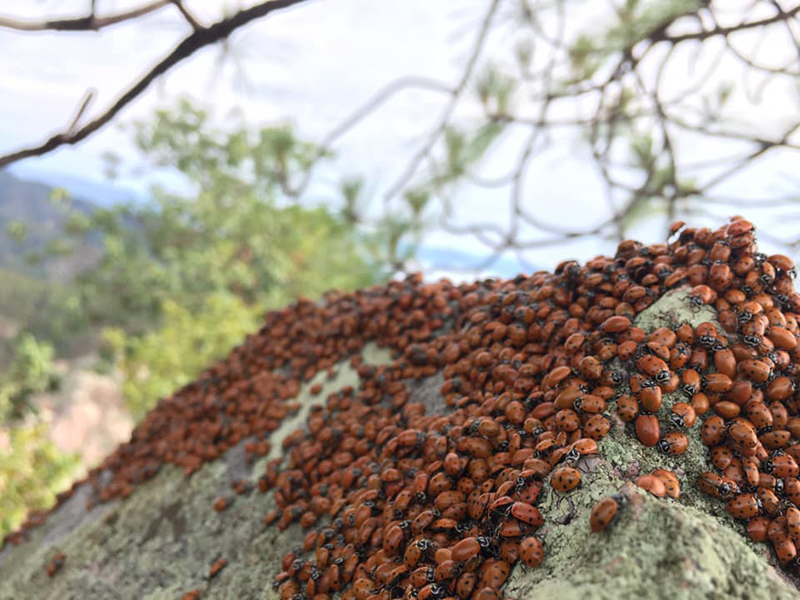 foto: ALberto Leyva  - lo hecho en México