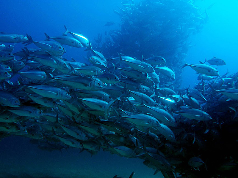 foto:José Luis López Tello  - lo hecho en México