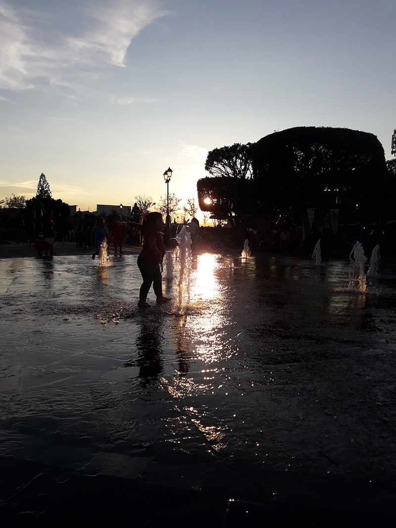 foto:Gerardo González Ramírez   - lo hecho en México