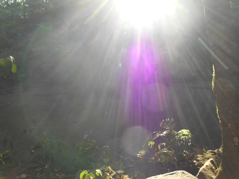 Olivia Grisell Hernández García 