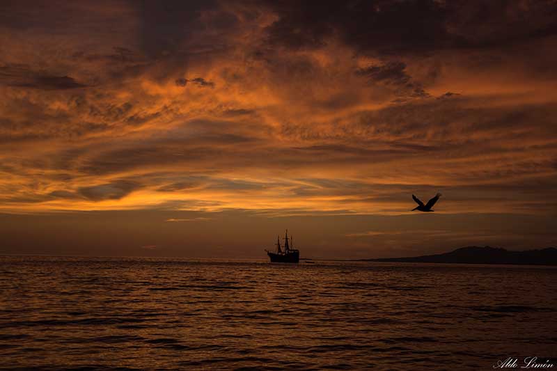 foto:Aldo Missael Limón Paniagua  - lo hecho en México