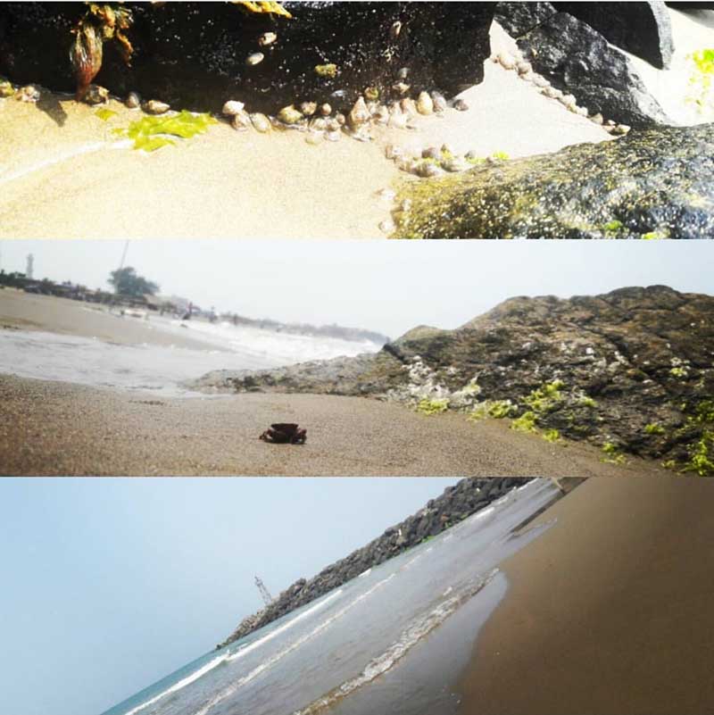 foto:Danna berenice Oropeza salcido  - lo hecho en México