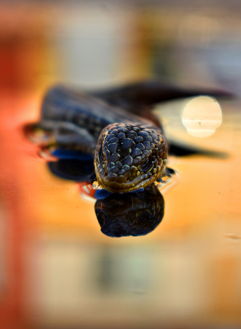 foto:Lineth Segura Gaviño  - lo hecho en México