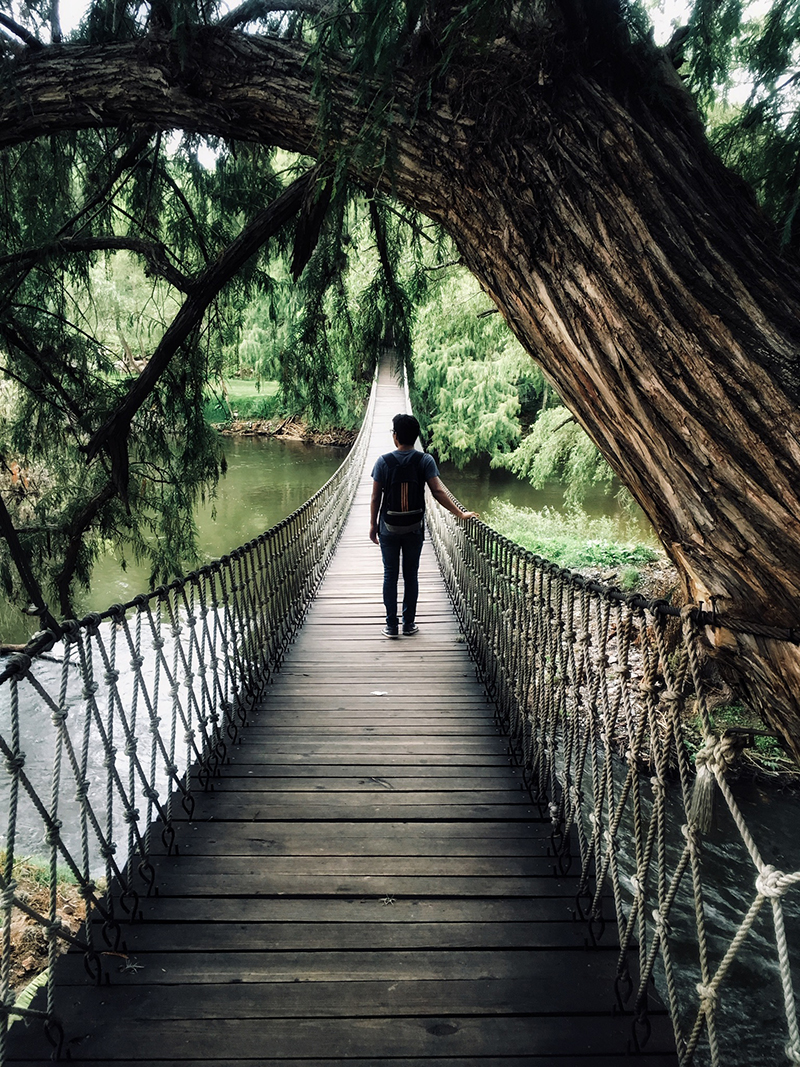 foto:Luis Fernando Soriano  - lo hecho en México