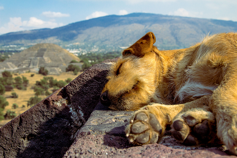 foto:Vanessa Camarena Vargas   - lo hecho en México