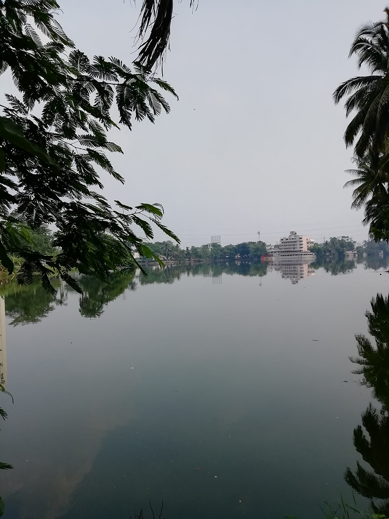 foto:Diana Laura Torres Patiño   - lo hecho en México