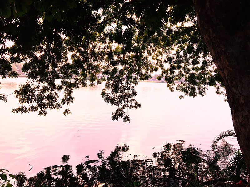 foto:Gerardo Jiménez Hernández   - lo hecho en México