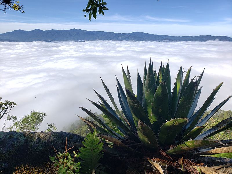 foto:Sarahi Aguilar Valle  - lo hecho en México