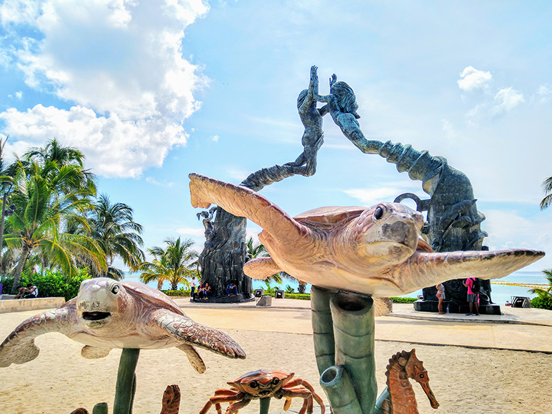 foto:Carlos Roman solares solis  - lo hecho en México