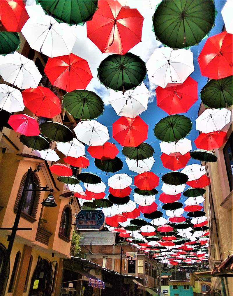 foto:Laurencio de Jesús Cerda Jiménez  - lo hecho en México
