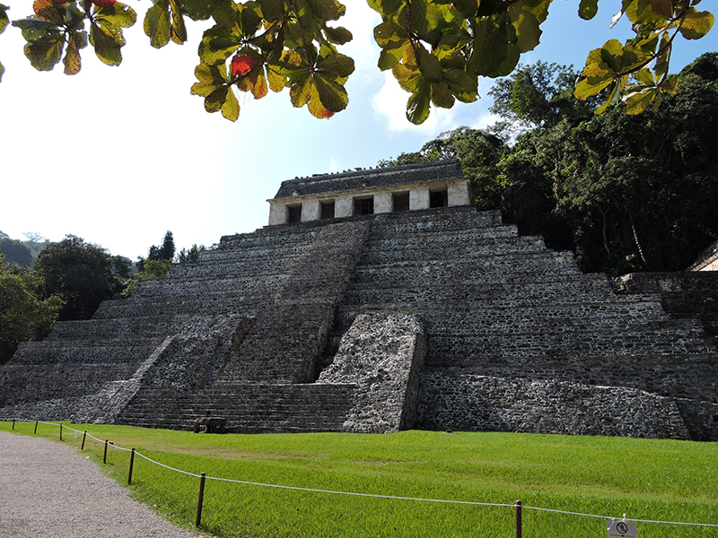 Susana Angel Rodríguez 
