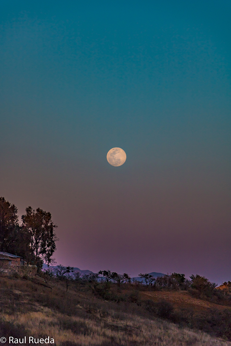 foto:Raul Rueda Torres  - lo hecho en México