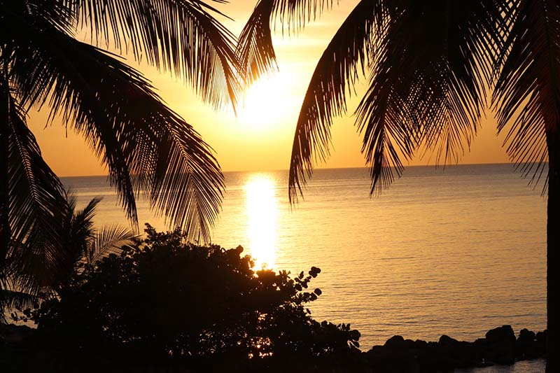 foto:Raquel Amiga Levy  - lo hecho en México