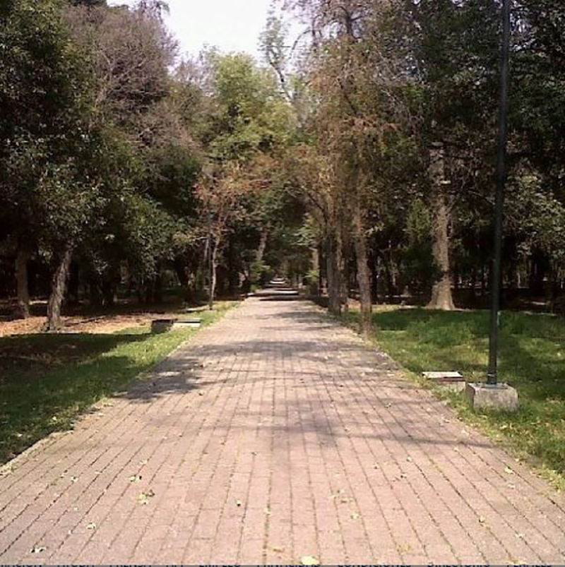 Ismael Aldeco Gonzalez 