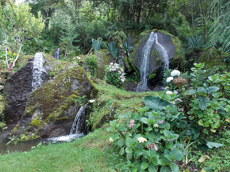 Fernando Rodriguez Ramos  