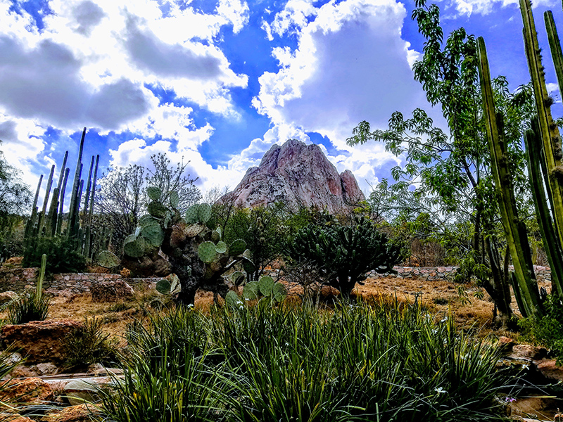 foto:Mayra Domínguez Valera   - lo hecho en México