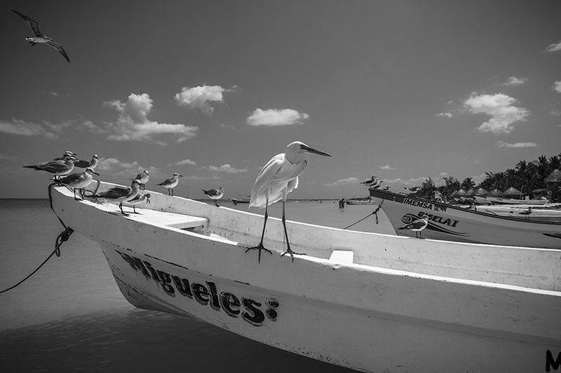 foto:Guillermo Adrián Prat  - lo hecho en México