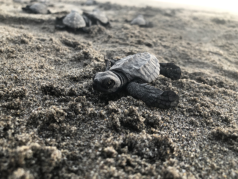 Emilio Garcia Blanco 