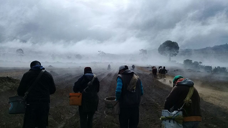 foto:NADIA IVONNE GARCIA ROJAS  - lo hecho en México