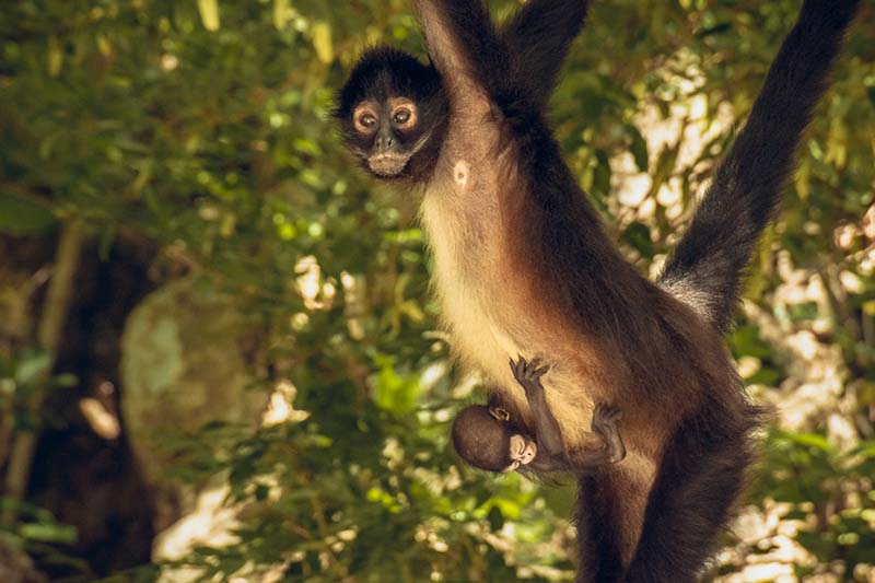 foto:JESÚS HERNÁNDEZ  - lo hecho en México