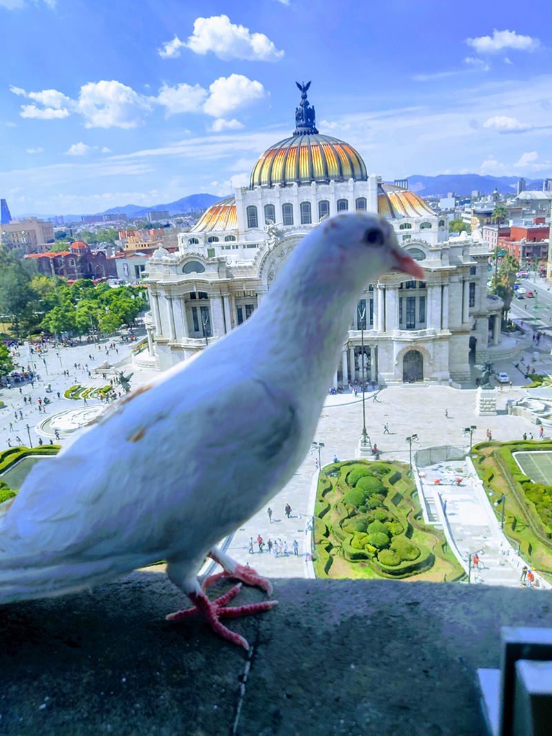 foto:Raúl Díaz avalos  - lo hecho en México