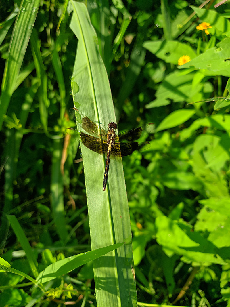 foto:Andres  - lo hecho en México