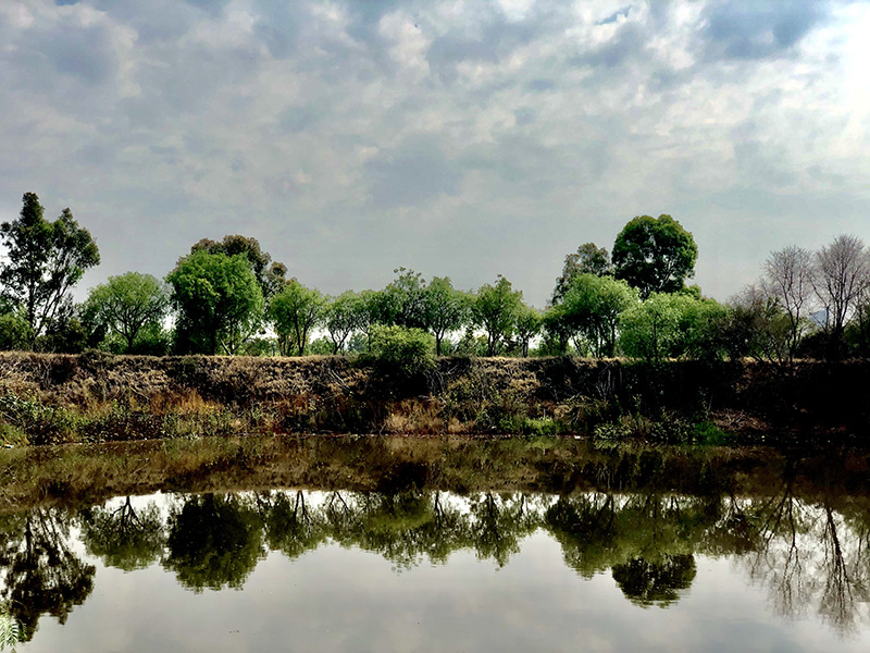 foto:Bertha Elena Gutierrez Sánchez  - lo hecho en México