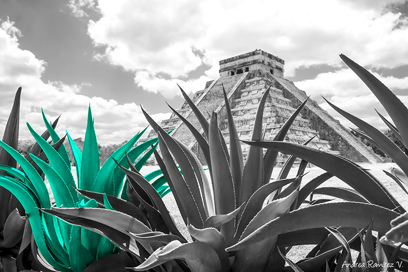 foto:Andrea Ramírez Velasco  - lo hecho en México