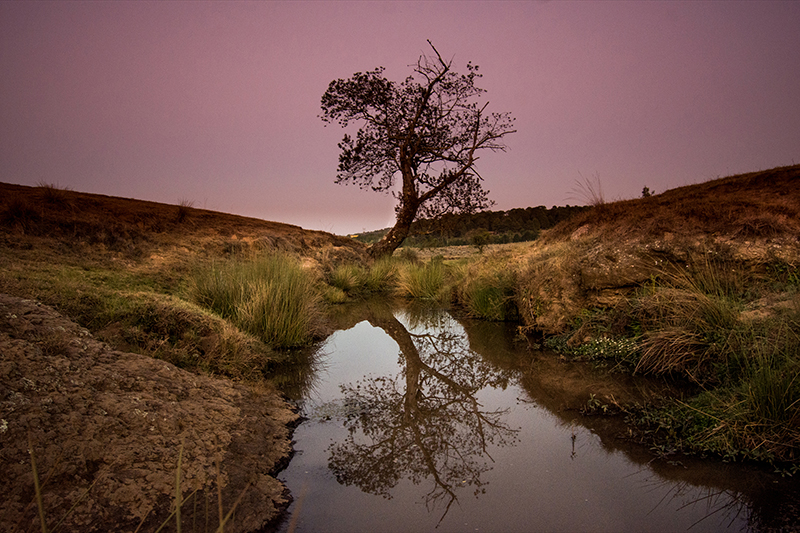 foto:Roberto Carlos Rosales Flores  - lo hecho en México