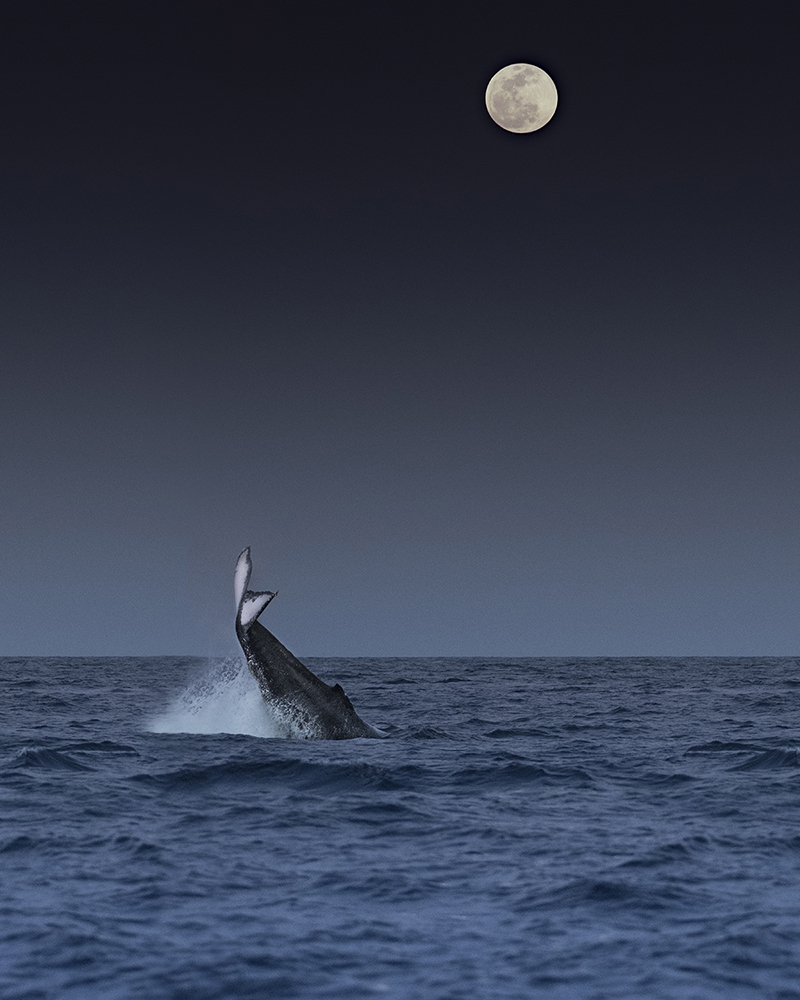 foto:Yasmin Mayella Valdivia Rodriguez  - lo hecho en México