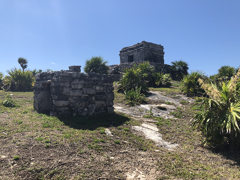 foto:Sergio Valverde López  - lo hecho en México