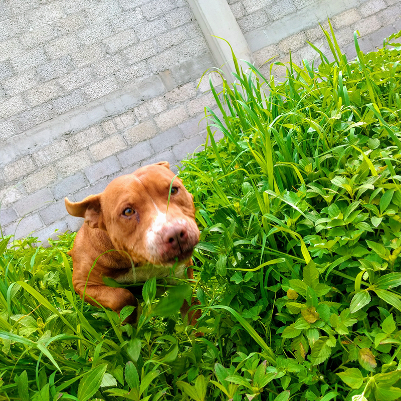 foto:Isaac David Márquez Hernández  - lo hecho en México