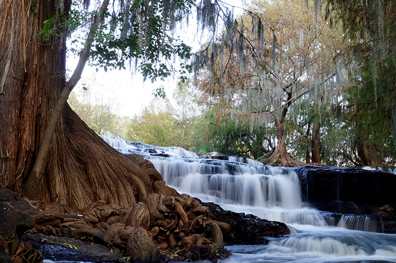 Víctor Manuel Rodríguez Martínez 