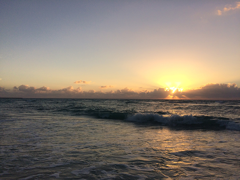 Roger Quintana falconi  