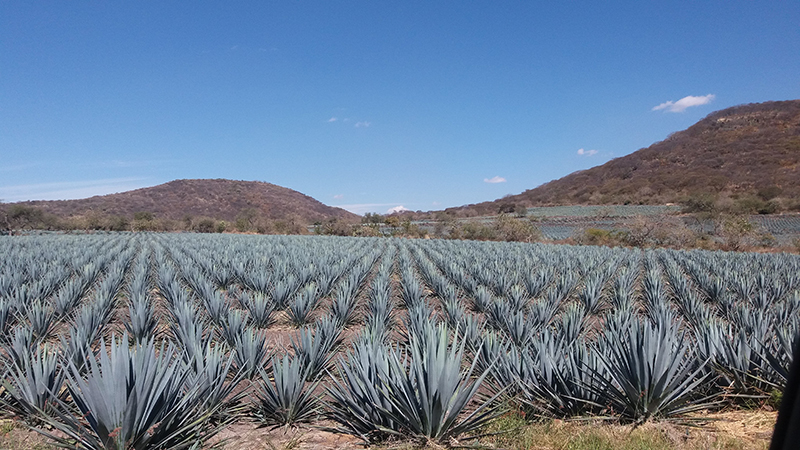 foto:María Mercedes Juárez Flores  - lo hecho en México