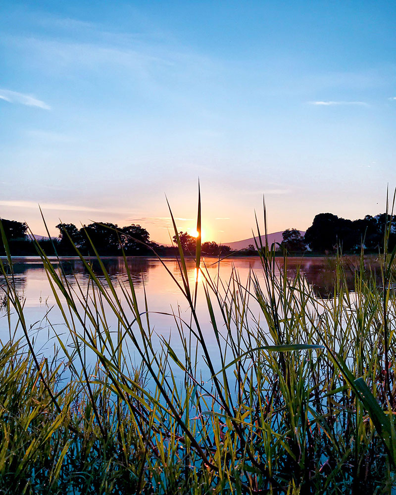 foto:Julio César Olivarez Renteria  - lo hecho en México